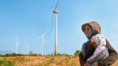 Các dự án điện tái tạo chuyển tiếp đã phát 115 triệu kWh lên lưới