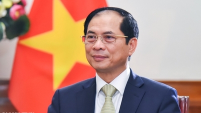 រដ្ឋមន្ត្រី Bui Thanh Son នឹងចូលរួមសន្និសីទថ្នាក់រដ្ឋមន្ត្រីក្រុមប្រឹក្សា OECD ឆ្នាំ 2023 និងបំពេញទស្សនកិច្ចជាផ្លូវការនៅប្រទេសបារាំង និងសាធារណៈរដ្ឋឆែក។