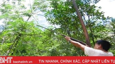 ពិន័យជាប្រាក់ ១៥លានដុង ពីបទកាន់កាប់កាំភ្លើងបាញ់សត្វ