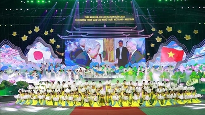 សប្តាហ៍វប្បធម៌ និងទេសចរណ៍ Ha Nam ឆ្នាំ 2024 ត្រូវបានគេរំពឹងថានឹងប្រព្រឹត្តទៅនៅត្រីមាសទីបី ជាមួយនឹងសកម្មភាពពិសេសជាច្រើន។