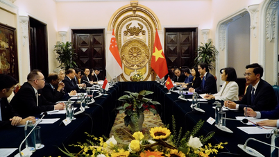 Kỳ họp lần thứ 15 Tham khảo Chính trị Việt Nam-Singapore