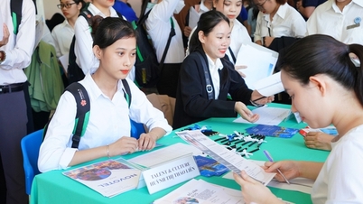 More than 2,500 domestic and international job vacancies for final year students
