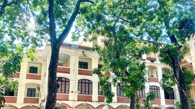 Học sinh nghỉ học ngày 7/9 để tránh bão số 3