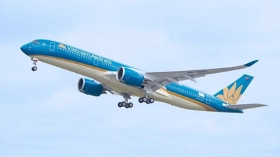 Lychee „reitet“ mit den Flugzeugen der Vietnam Airlines überall hin; Obst- und Gemüseexporte könnten neuen Rekord erreichen