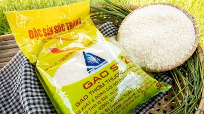 The “Made in Vietnam” rice brand is still obscure.