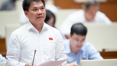 ‘Có bộ trả lời kiến nghị cử tri Đắk Nông nhưng dẫn văn bản tỉnh khác’