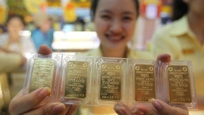 SJC gold price falls to 80 million VND/tael, investors lose another million