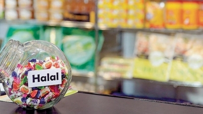 Halal market - the 'key' to open more doors for Vietnam's agricultural and aquatic product exports