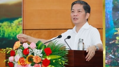 Nâng cao hiệu lực, hiệu quả quản lý, bảo vệ và phát triển rừng