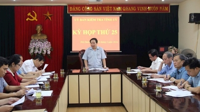 Why were a series of leaders of the Hai Duong Provincial Women's Union disciplined?