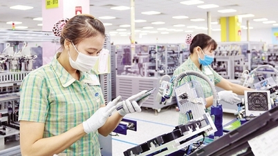 Làm sao để giữ chân "đại bàng"?