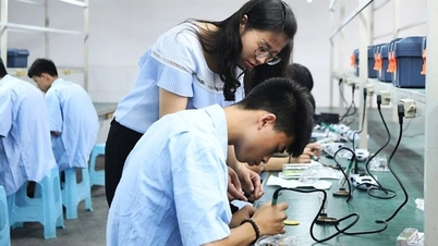 Chinesische Medien decken Netzwerk von Menschen auf, die einen Berufsabschluss erlangen können, ohne zur Schule zu gehen