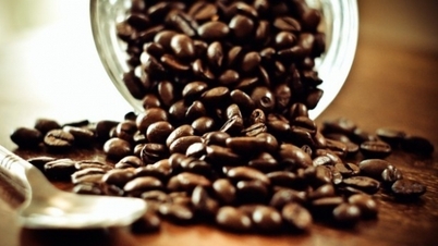 Coffee prices have "double support", robusta keeps increasing, Fed cuts interest rates, commodity prices still increase?