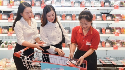 A VN30 business forecasts a 1100% increase in profit
