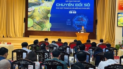 Tien Phong Newspaper organizes a workshop on promoting digital transformation in the Northern midlands and mountainous areas