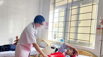 5 Menschen in Ha Tinh wurden nach dem Verzehr von Pilzen vergiftet