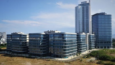 A series of incentives for investors coming to Da Nang to develop semiconductor chips