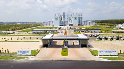 C.P. Việt Nam - Doanh nghiệp thực phẩm chủ lực, đồng hành kết nối thực phẩm an toàn cùng kênh phân phối hiện đại