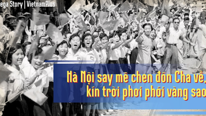 ‘Hà Nội say mê chen đón Cha về, kín trời phơi phới vàng sao’
