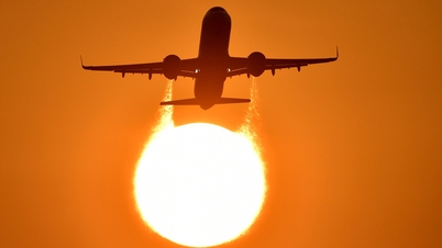 On-time flight rate of Vietnamese airlines