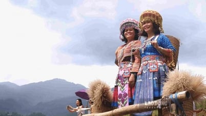 Du khách vượt nghìn kilomet đến Mù Cang Chải mùa lúa chín