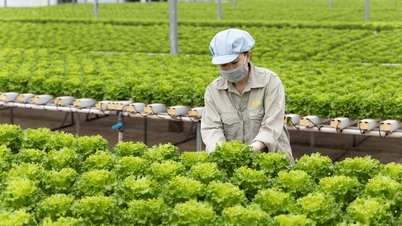 2025: The breakthrough year of the agricultural industry