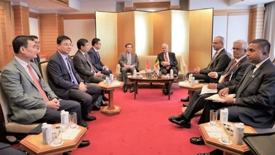 Deputy Prime Minister Tran Luu Quang meets with President of Sri Lanka and Speaker of the House of Representatives of Japan
