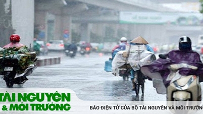 Miền Bắc mưa rào và dông