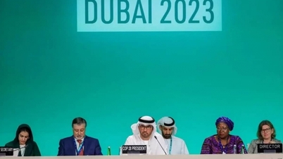 La COP28 s'ouvre avec la victoire du fonds « pertes et dommages »