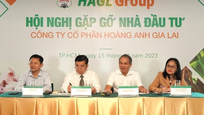 Công ty của bầu Đức có tổng giám đốc mới