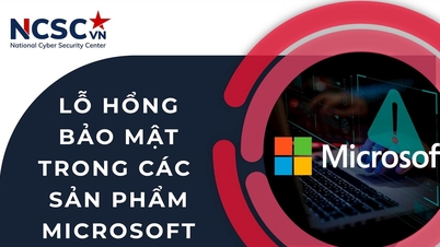 Risk of information security loss from security vulnerabilities in Microsoft products