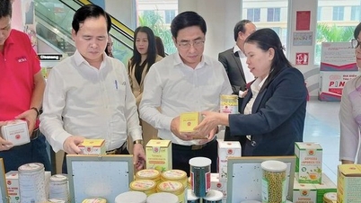Quảng bá, liên kết đưa sản phẩm OCOP kết hợp với nền tảng số