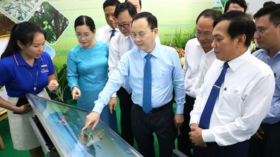100 doanh nghiệp, đơn vị tham gia hội chợ Nông nghiệp năm 2024 tại Cần Thơ, ký kết hợp tác sản xuất, kinh doanh