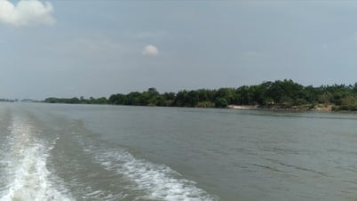 Lại mong được nếm cua da