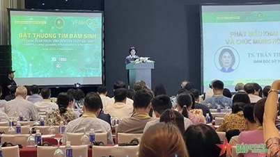 Dị tật tim bẩm sinh là một trong những nguyên nhân gây tử vong hàng đầu