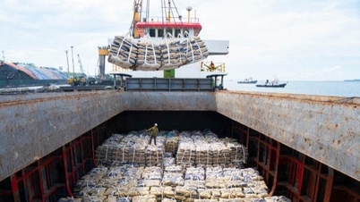 Xuất khẩu clinker và xi măng trong tháng 10 tăng nhẹ