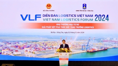 Efforts to implement 7 solutions to develop the logistics industry
