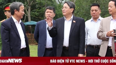 Vice Chairman of the National Assembly Nguyen Duc Hai surveys the My Son Temple Complex.