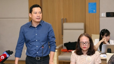 TikTok in Vietnam is responsible for violations in providing services
