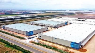 Triển vọng M&A trong lĩnh vực logistics