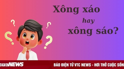 Thử thách Tiếng Việt: 'Xông xáo' hay 'xông sáo'?
