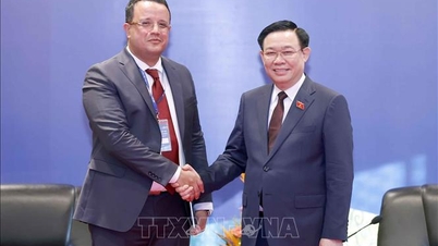 Chủ tịch Quốc hội Vương Đình Huệ tiếp Phó Chủ tịch Quốc hội Algeria