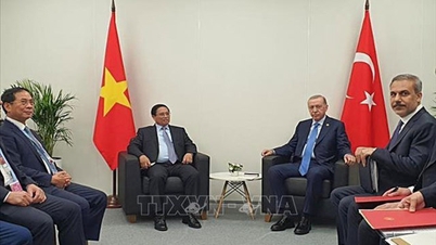 Thủ tướng Phạm Minh Chính gặp Tổng thống Thổ Nhĩ Kỳ Recep Tayyip Erdogan