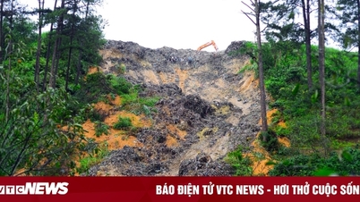 'Mountain' of garbage on hill collapses, burying coffee garden in Da Lat