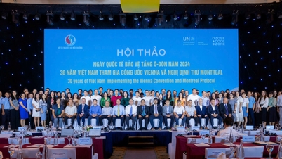 30 years of Vietnam's participation in the Vienna Convention and the Montreal Protocol