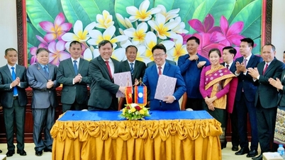 វៀត​ណាម​សហការ​ក្នុង​ការ​បណ្តុះ​បណ្តាល​និង​បណ្តុះ​បណ្តាល​មន្ត្រី​សម្រាប់​បក្ស​រដ្ឋ​ឡាវ