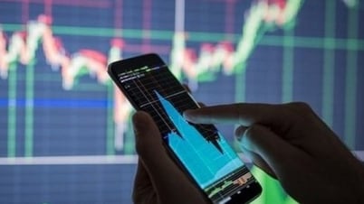 CEO Văn hoá Tân Bình và người liên quan sở hữu vượt 25% không chào mua công khai