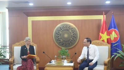 អៀរឡង់មានបំណងសហការ និងគាំទ្រវៀតណាមក្នុងការអភិវឌ្ឍន៍កសិកម្មនិរន្តរភាព