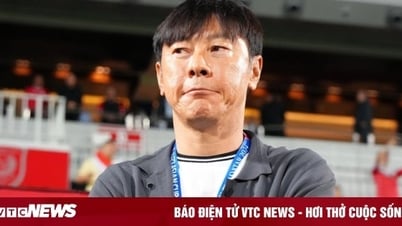 ハノイFCが衝撃的な敗北、ファンはシン・テヨン監督の招聘を要求