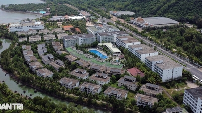 Tỉnh yêu cầu tạm dừng thủ tục, ngân hàng vẫn rao bán 75 thửa đất